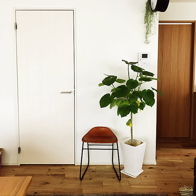 aiさんの実例写真