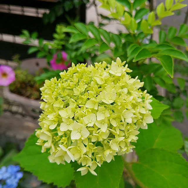 VERANDARJUNさんの実例写真