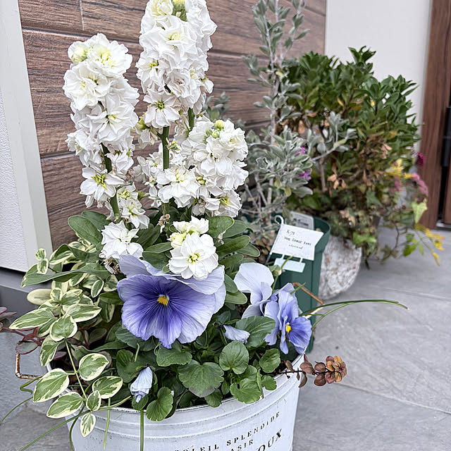 chipsさんの部屋