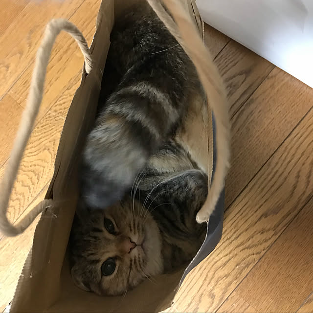 keibooさんの実例写真