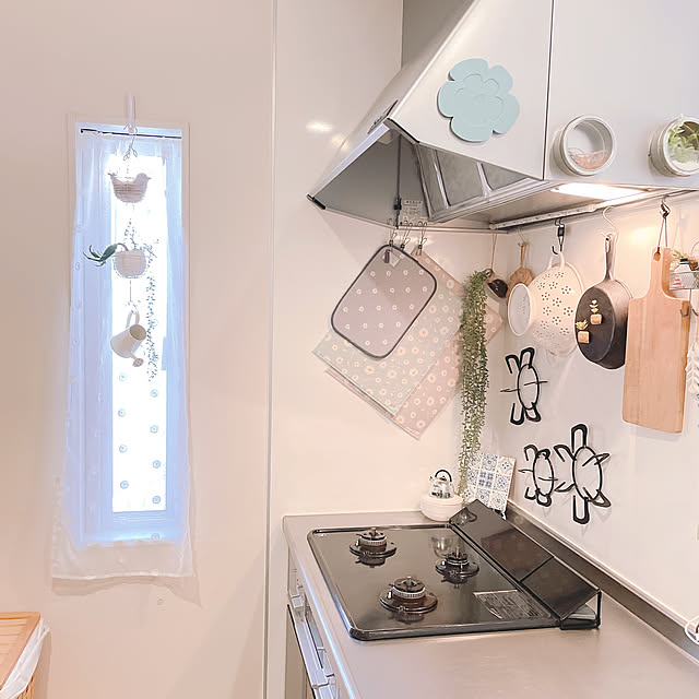 akiko-ovさんの部屋