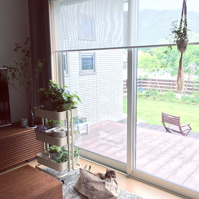 miyo419さんの実例写真
