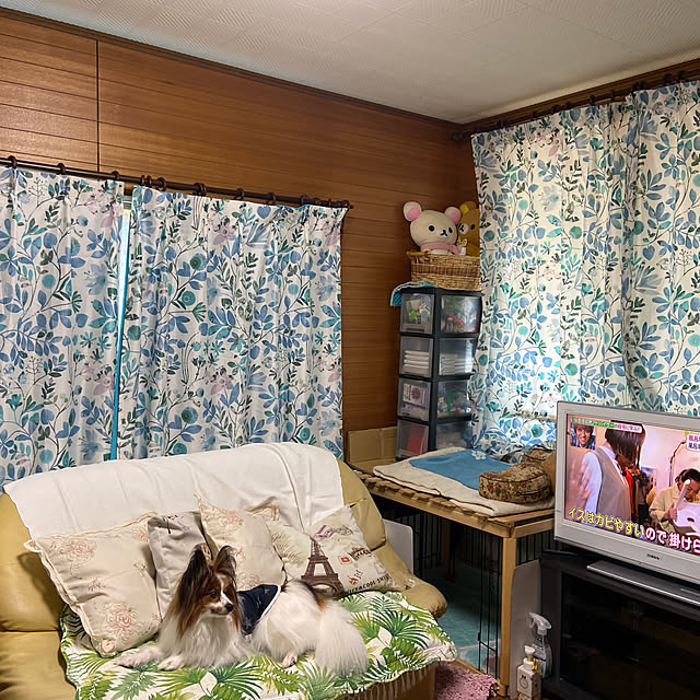 okachakoさんの実例写真