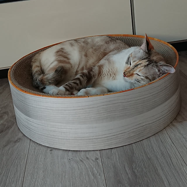 kohakuさんの実例写真