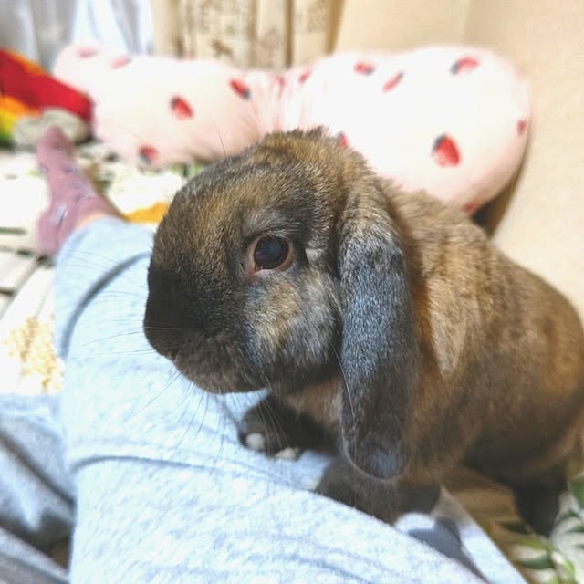 mariaさんの実例写真
