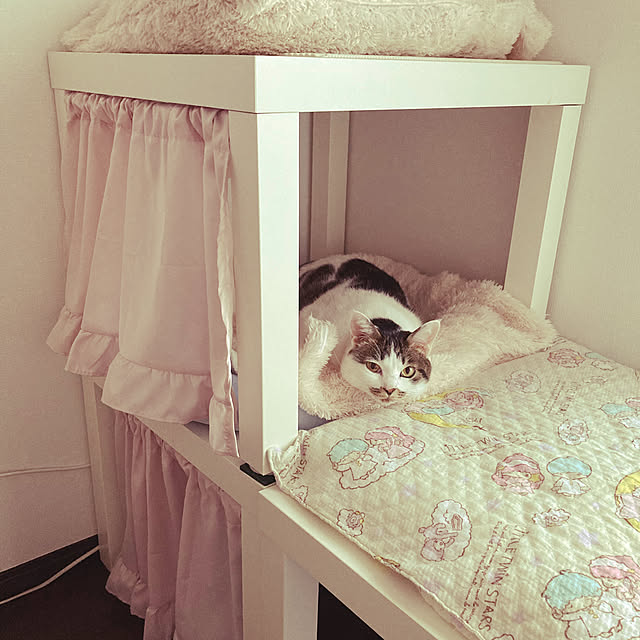 Gomaさんの実例写真