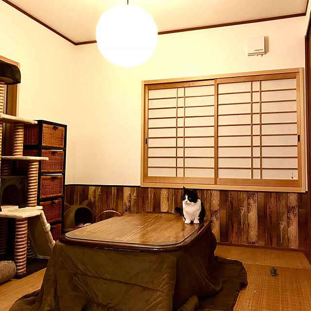 butachanさんの実例写真