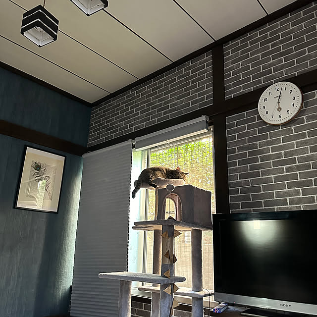 kumakoさんの部屋