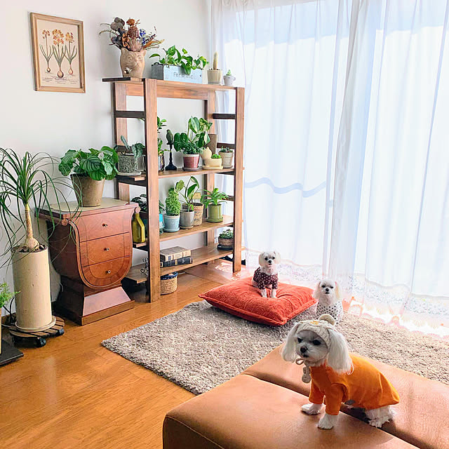 ponyoさんの実例写真