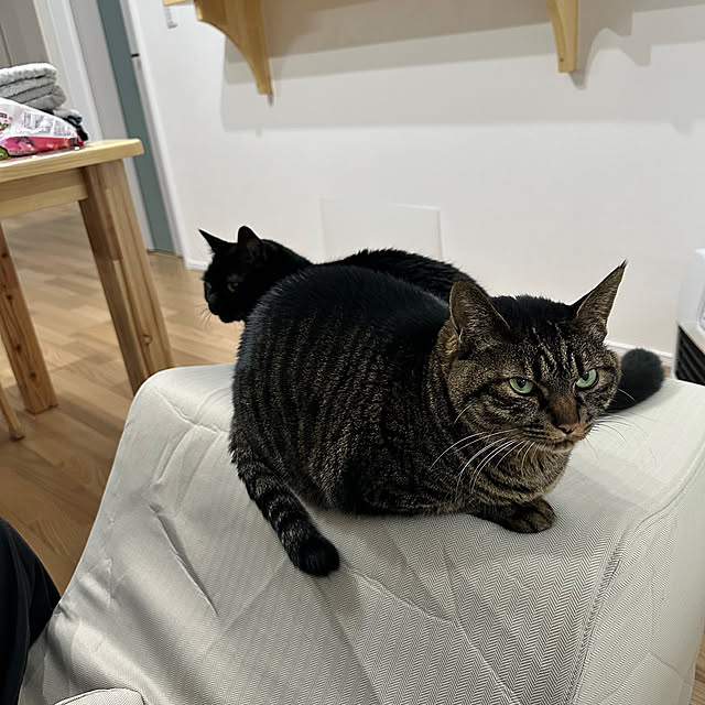 kuromiさんの部屋