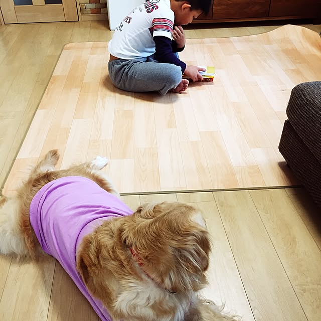 Kazueさんの実例写真