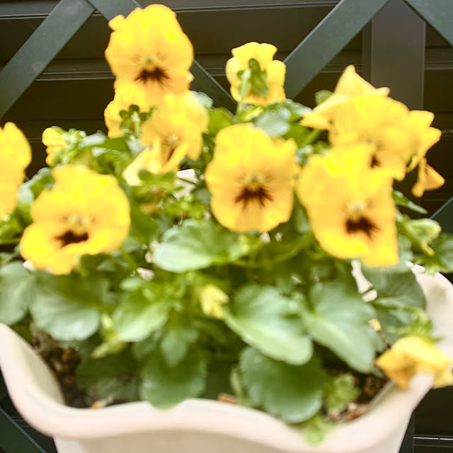 YuuKoさんの部屋