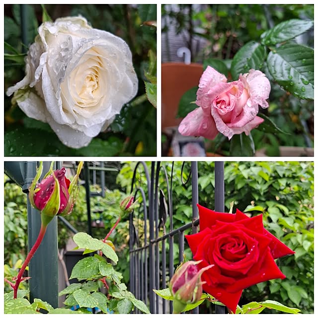 midoriさんの部屋