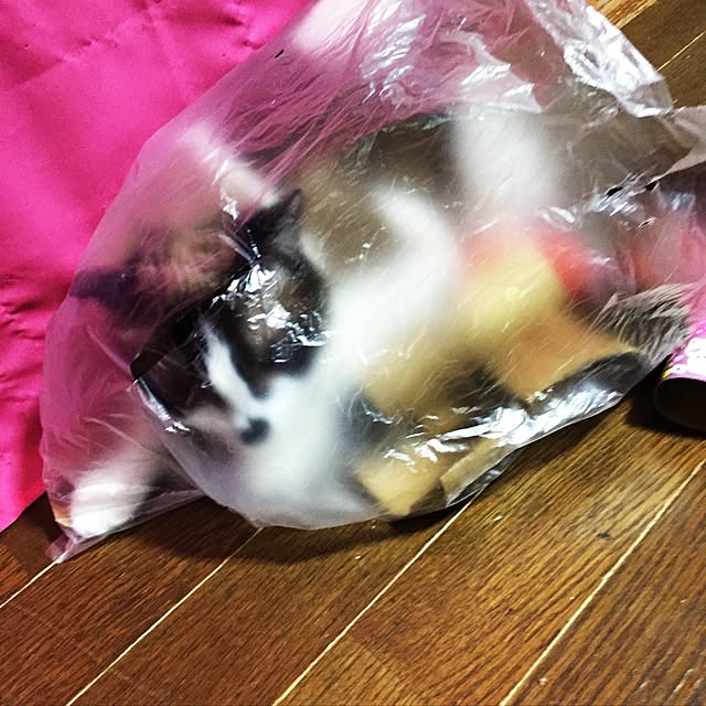vivienne.coco-keiさんの実例写真