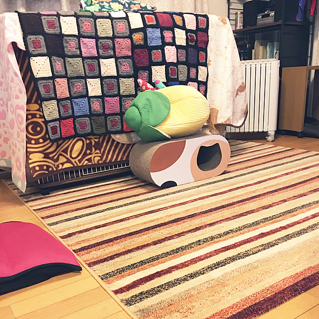 tekokaasanさんの実例写真