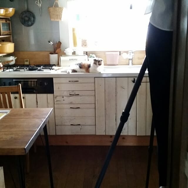 mikiさんの実例写真