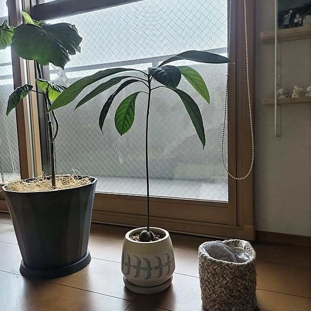 sakiさんの実例写真