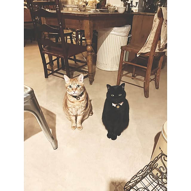 ataさんの実例写真