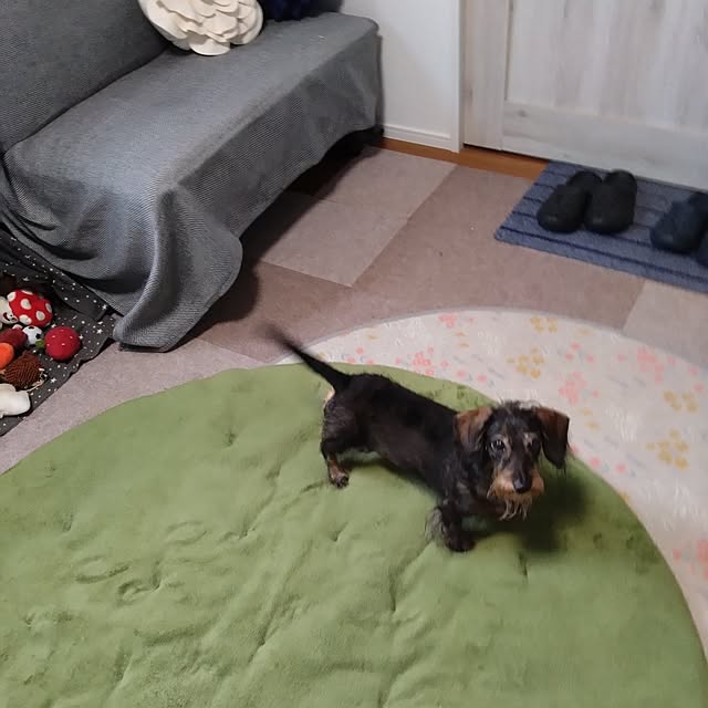 chocococoaさんの部屋