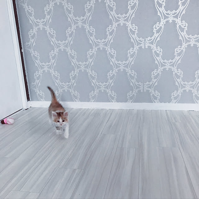 mya___kさんの実例写真