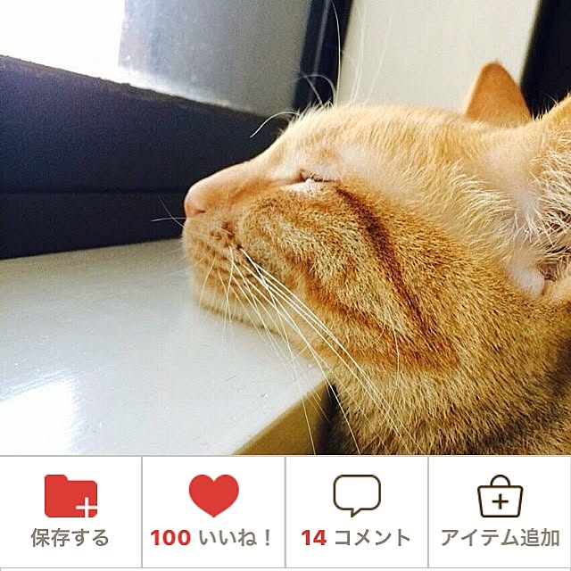 yoshi-yoshiさんの実例写真