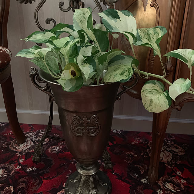 AYUKOさんの実例写真