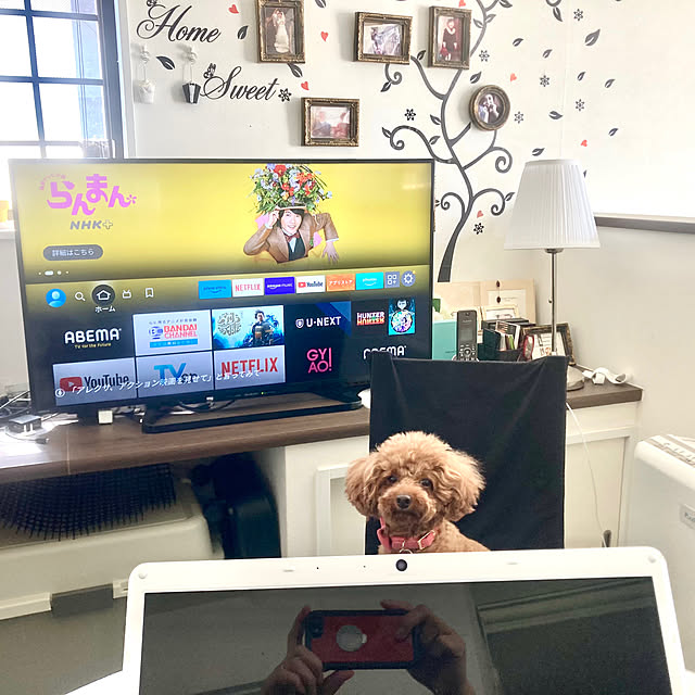 MOMOMAMAさんの実例写真