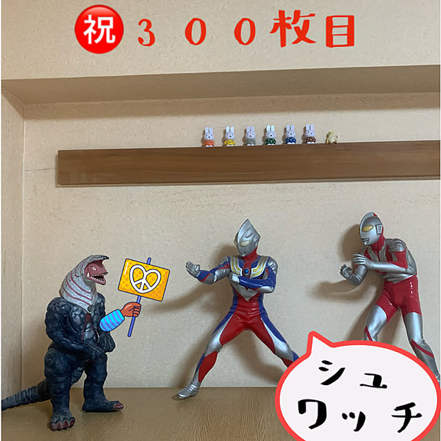 JUNさんの実例写真