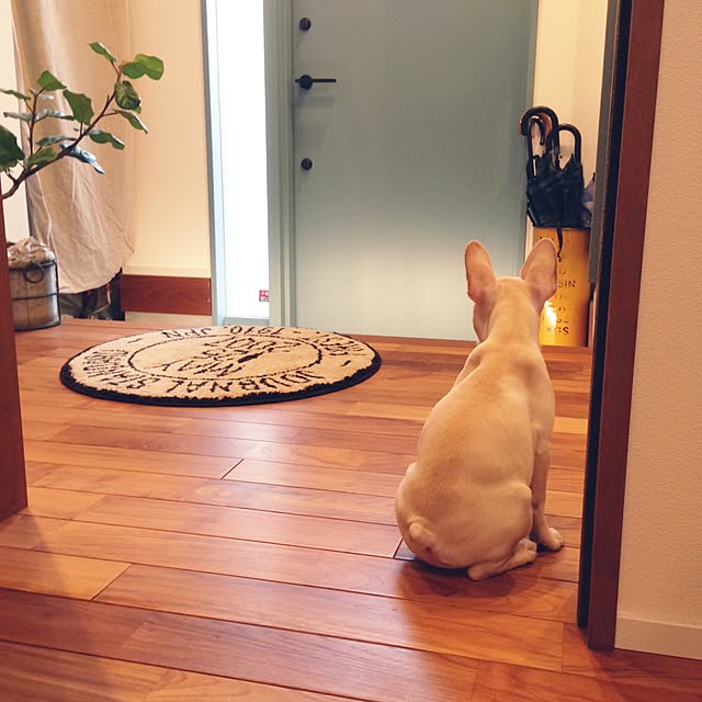 oldwoodさんの実例写真