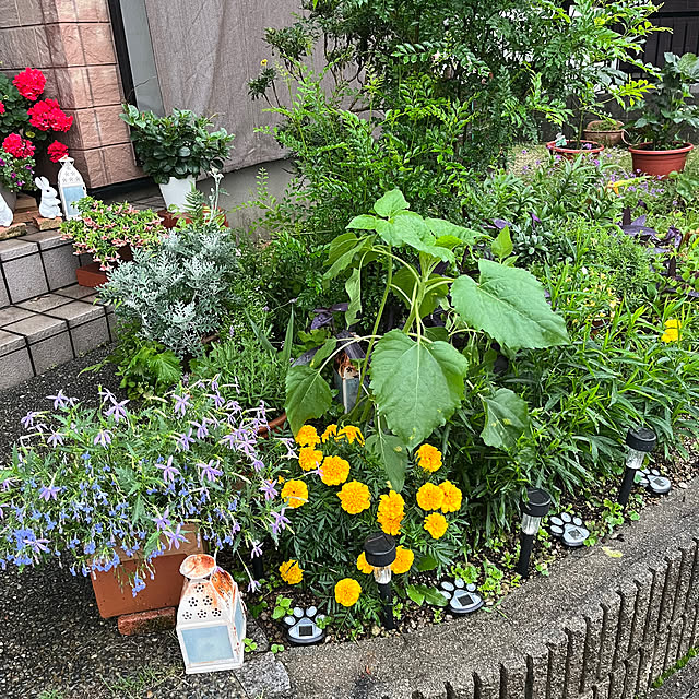 ritsukoさんの部屋
