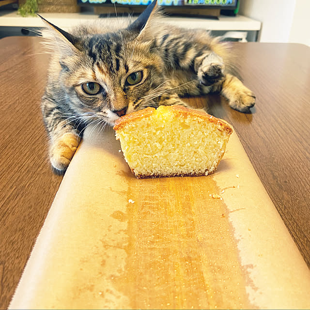 gachaさんの実例写真