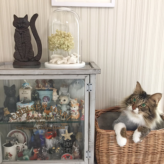 yuchiさんの実例写真