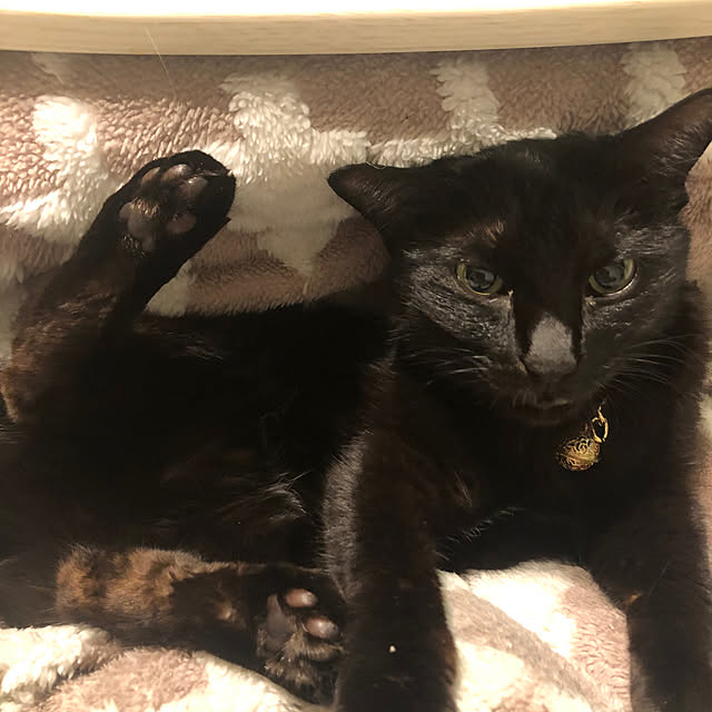 hiroさんの実例写真