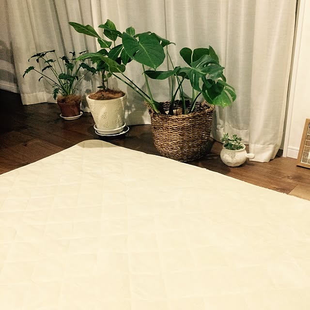kakamiさんの実例写真