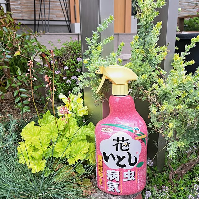 Jijiさんの実例写真