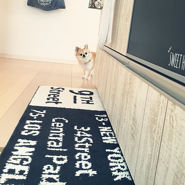 konomi513さんの実例写真