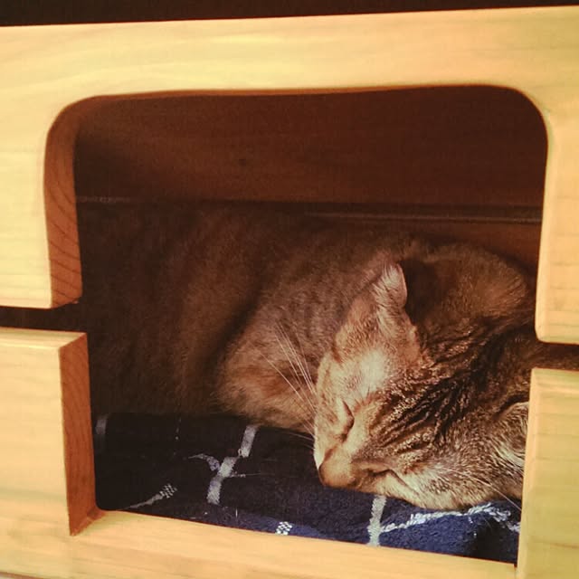 Mitsuhikoさんの実例写真