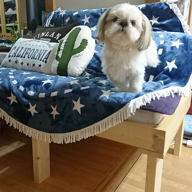 Reiさんの実例写真
