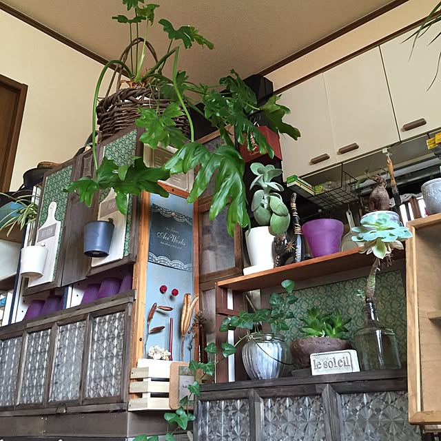 Norikoさんの実例写真