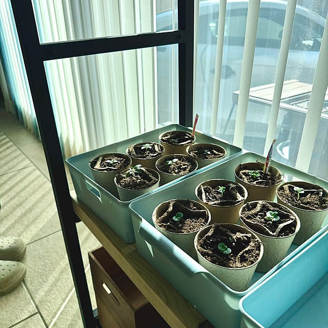 yutaさんの部屋