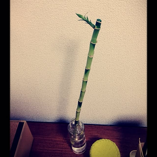 yumiさんの実例写真