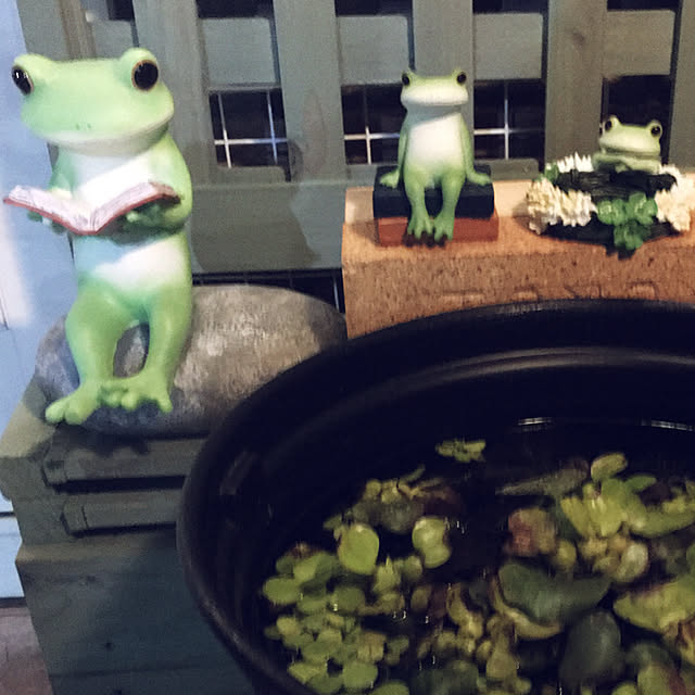 tekokaasanさんの実例写真