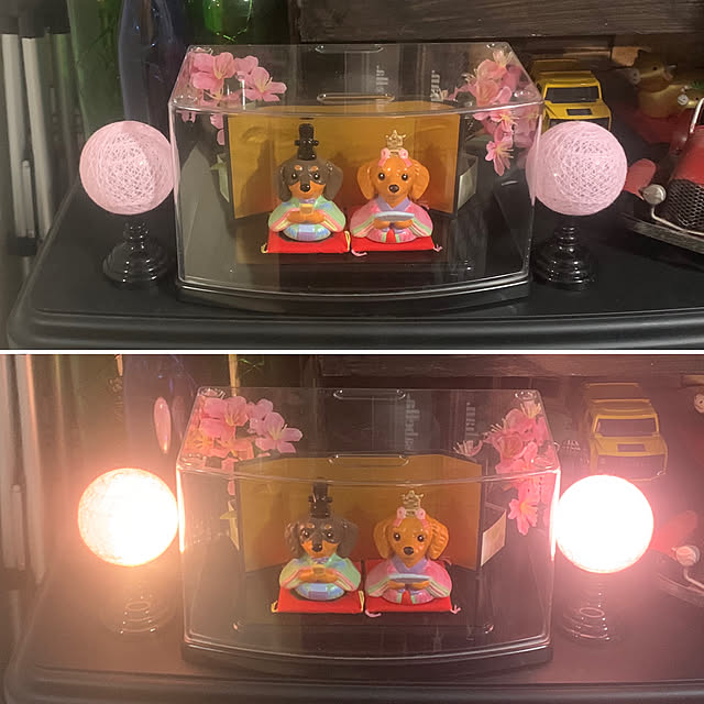 akipuさんの実例写真