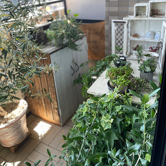 momo_sanさんの部屋