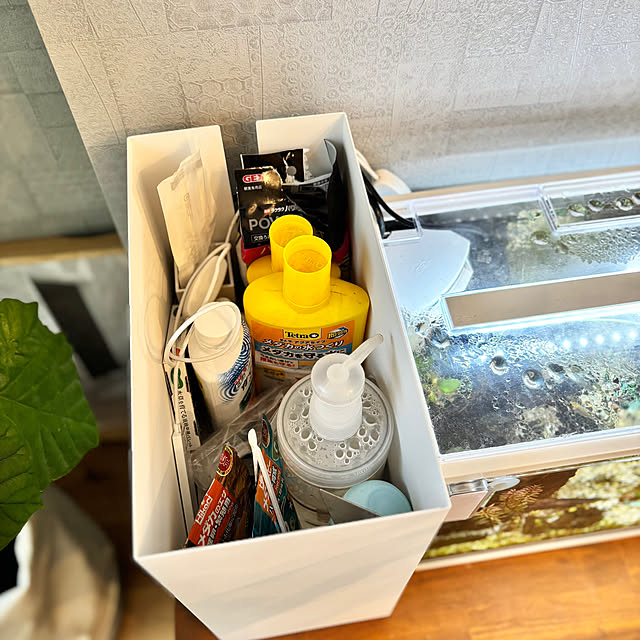 Minteaさんの部屋