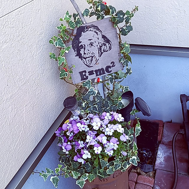 shiiitanさんの実例写真