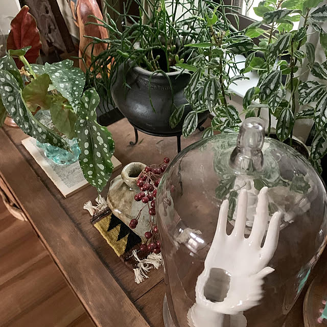 RAMARAMAさんの部屋