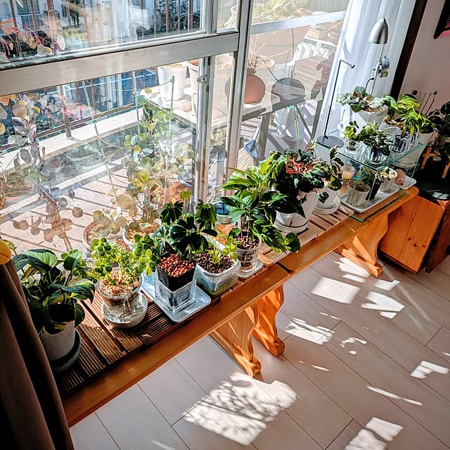 mi-saさんの部屋