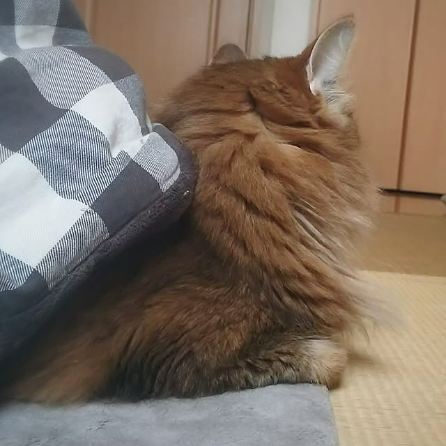 yuri.sさんの実例写真