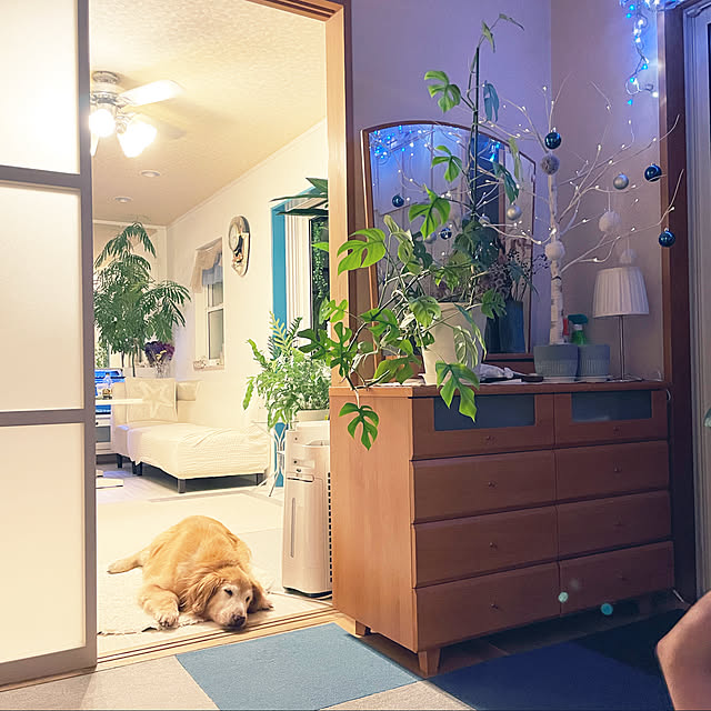 kanakoさんの実例写真